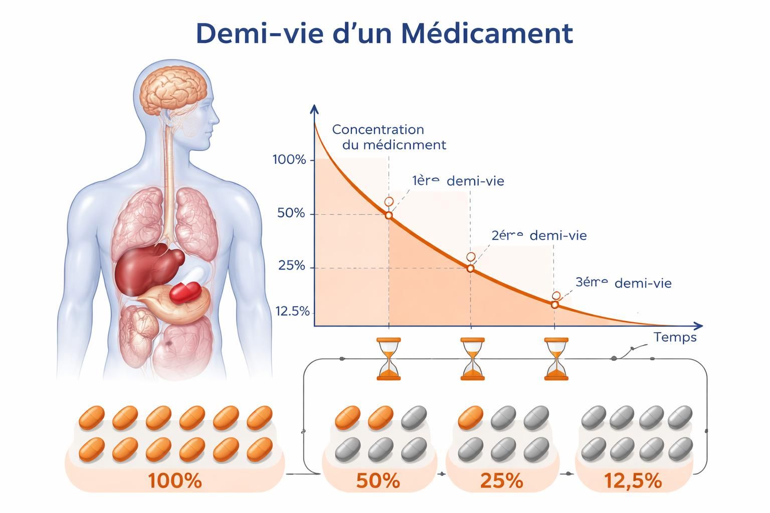 découvrez la durée pendant laquelle un anti-inflammatoire reste actif dans le sang et ses implications pour votre santé et votre traitement.